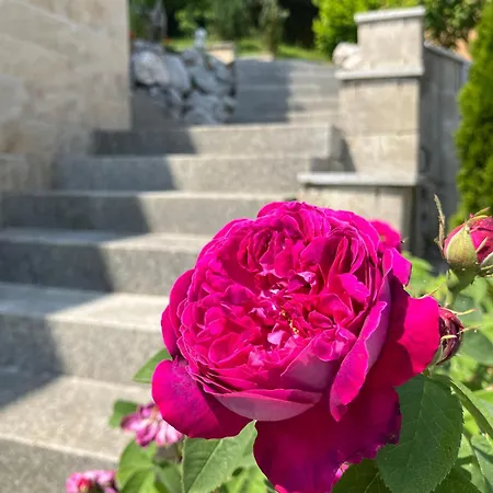 Moderne Am Wald * Siegsdorf